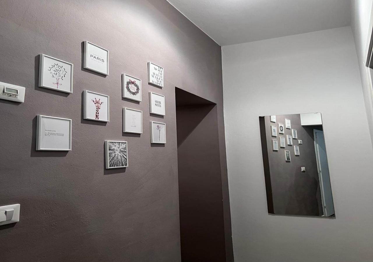 Monkey House Verona Bagian luar foto